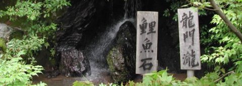 Waterfall in Kyoto